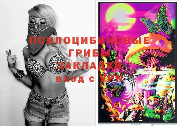 спайс Абаза