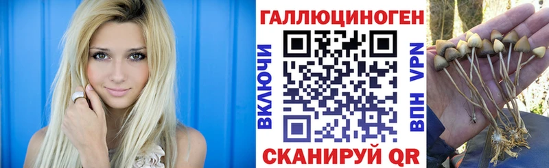 ОМГ ОМГ маркетплейс  Красавино  Галлюциногенные грибы Psilocybine cubensis 