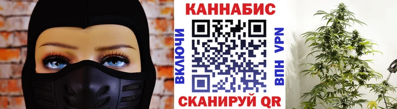 Бошки Шишки MAZAR  Красавино 